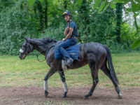 Which Thickness Do I Need?