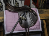 What’s in Your PolyPad?