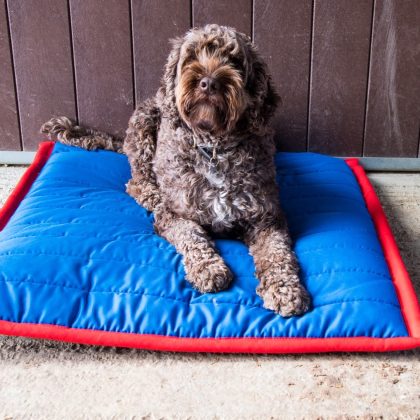 Polypaws pillow bed