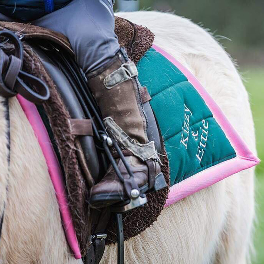 Introducing the Shetland PolyPads