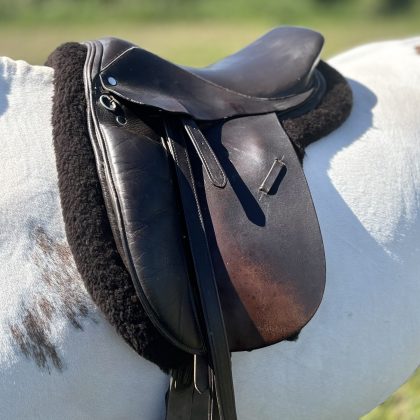 Brown Regal Saddle Pad