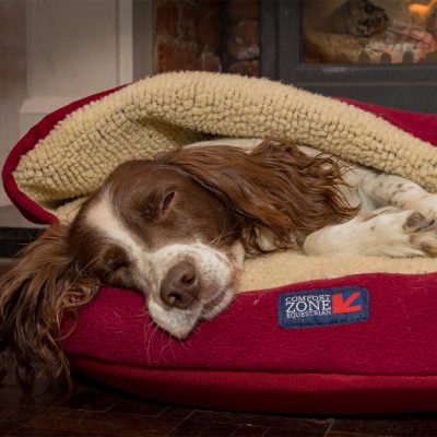 Snuggle Bed Sleeping